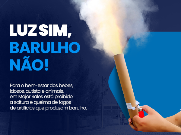 Projeto proíbe queima de fogos de artifício que produzam barulho